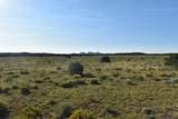 000 Lizard Lane - Photo 4