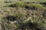 000 Lizard Lane - Photo 5