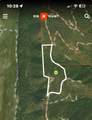 13333 Stonewall Parallel Rd - Photo 60