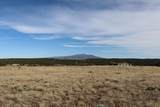  Comanche Drive Lot 118 - Photo 6