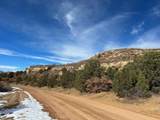  Primero Ranch Road - Photo 16