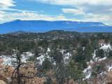  Primero Ranch Road - Photo 7