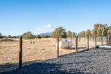 1017 County Rd 521.3 - Photo 54