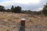  Blackhawk Ranch Lot 39 - Photo 11