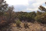  Blackhawk Ranch Lot 39 - Photo 19