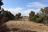  Blackhawk Ranch Lot 39 - Photo 2