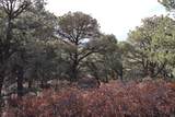 Blackhawk Ranch Lot 39 - Photo 27
