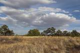  Blackhawk Ranch Lot 39 - Photo 31