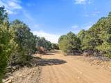 TBD Grandview Drive Pkwy - Photo 13
