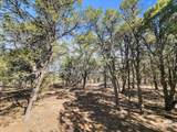 TBD Grandview Drive Pkwy - Photo 15