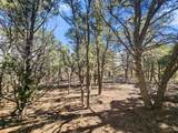 TBD Grandview Drive Pkwy - Photo 16