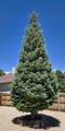 1008 7th St - Photo 22