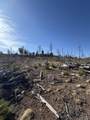 000 Riccardo - Photo 20