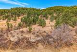 13016 Cielo Grande Rd - Photo 51