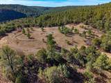 TBD Four Mile Canyon - Photo 1
