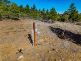 TBD Four Mile Canyon - Photo 14