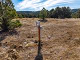 TBD Four Mile Canyon - Photo 15