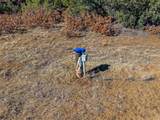 TBD Four Mile Canyon - Photo 17