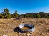 TBD Four Mile Canyon - Photo 18