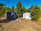 TBD Four Mile Canyon - Photo 19
