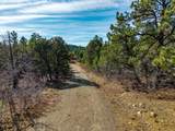 TBD Four Mile Canyon - Photo 20