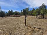 TBD Four Mile Canyon - Photo 28