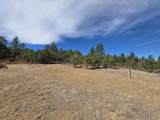 TBD Four Mile Canyon - Photo 29