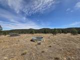 TBD Four Mile Canyon - Photo 32