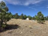 TBD Four Mile Canyon - Photo 33
