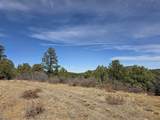 TBD Four Mile Canyon - Photo 34
