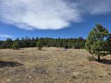 TBD Four Mile Canyon - Photo 35