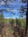 TBD Four Mile Canyon - Photo 36