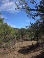 TBD Four Mile Canyon - Photo 37
