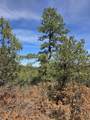 TBD Four Mile Canyon - Photo 38