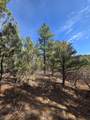 TBD Four Mile Canyon - Photo 41