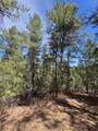 TBD Four Mile Canyon - Photo 42