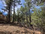 TBD Four Mile Canyon - Photo 43