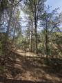 TBD Four Mile Canyon - Photo 44