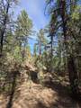 TBD Four Mile Canyon - Photo 45