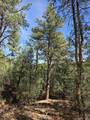 TBD Four Mile Canyon - Photo 46