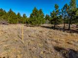 TBD Four Mile Canyon - Photo 6