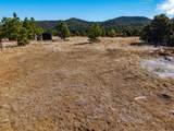 TBD Four Mile Canyon - Photo 7
