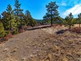 TBD Four Mile Canyon - Photo 9