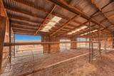 38316 County Road 42 - Photo 36