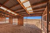 38316 County Road 42 - Photo 38