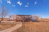 38316 County Road 42 - Photo 39