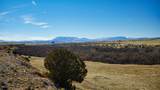 161 Colorado Land & Livestock - Photo 15
