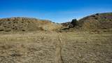 161 Colorado Land & Livestock - Photo 19