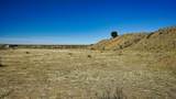 161 Colorado Land & Livestock - Photo 20