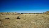 161 Colorado Land & Livestock - Photo 21